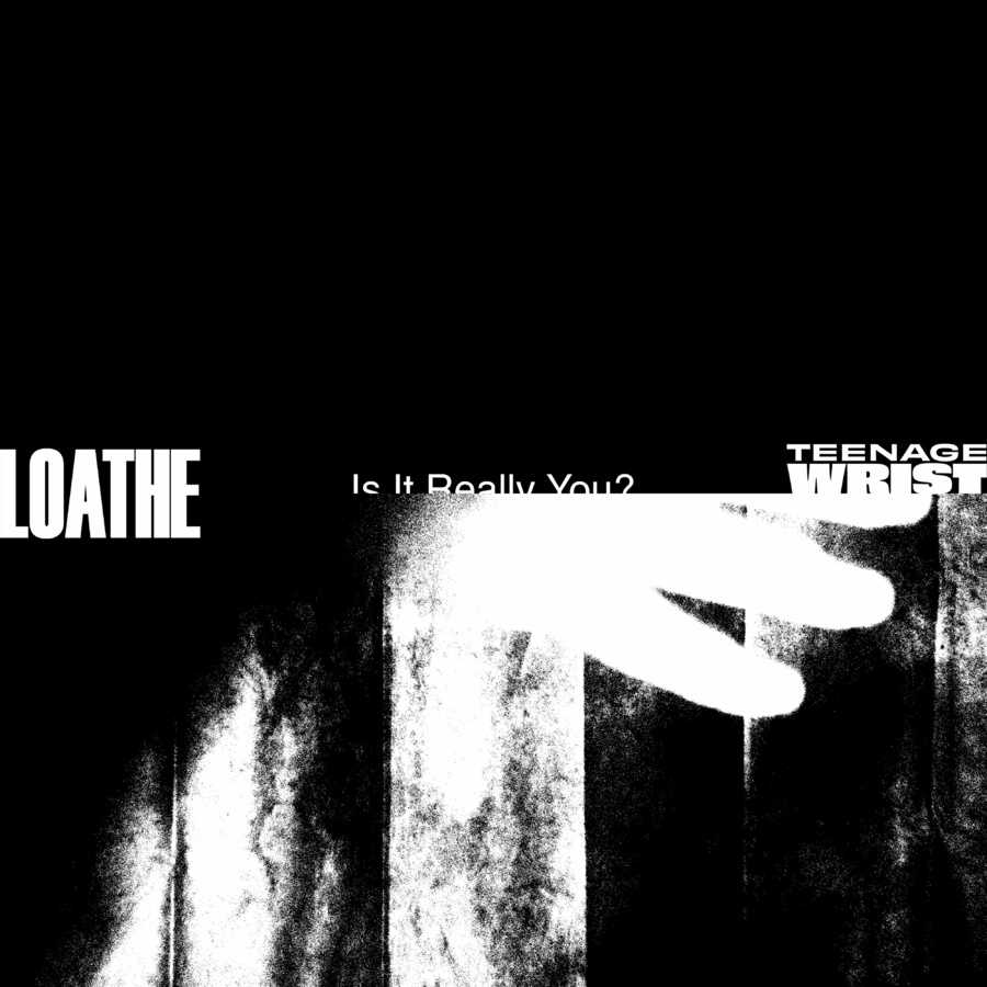 Loathe ft. Teenage Wrist - Is It Really You
